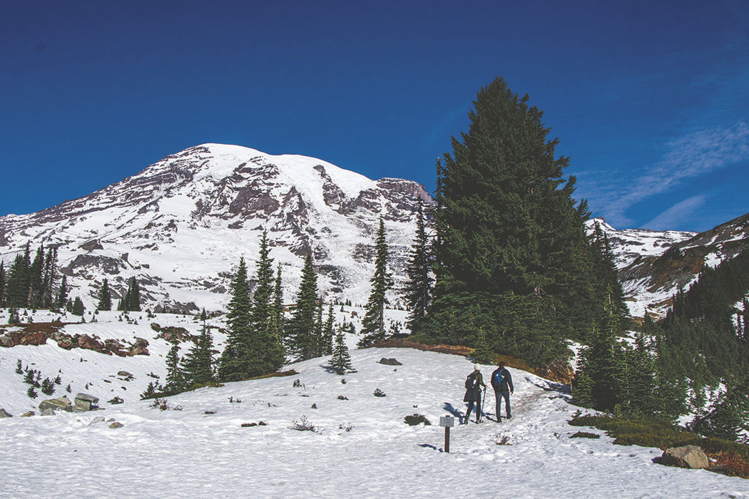 Photos: From Paradise in Mount Rainier National Park